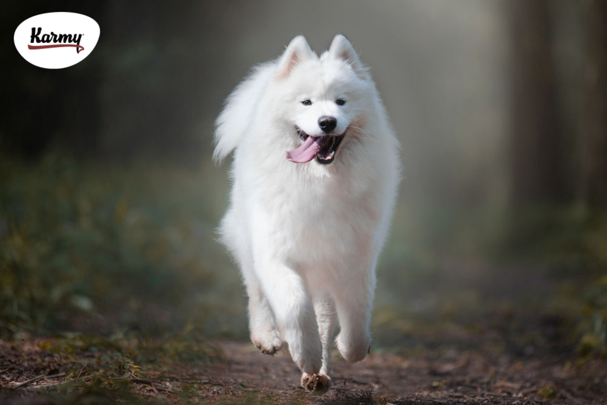 Авторское изображение с использованием картинки с фотостока "Unsplash" 