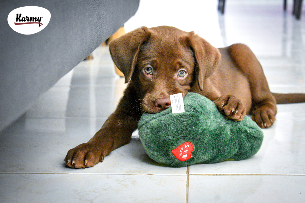 Авторское изображение с использованием картинки с фотостока "Unsplash"