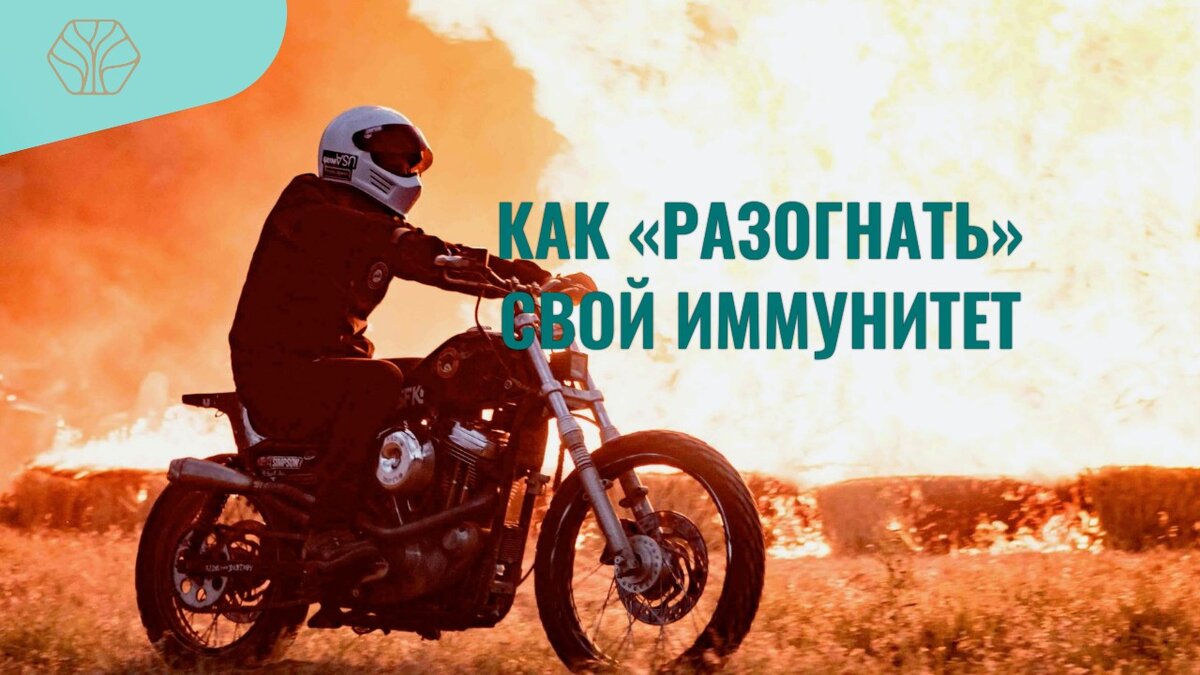 Осенью с помощью изменения питания - без витамино ви бадов, мы можем помочь своему организму активировать  иммунную систему. 
