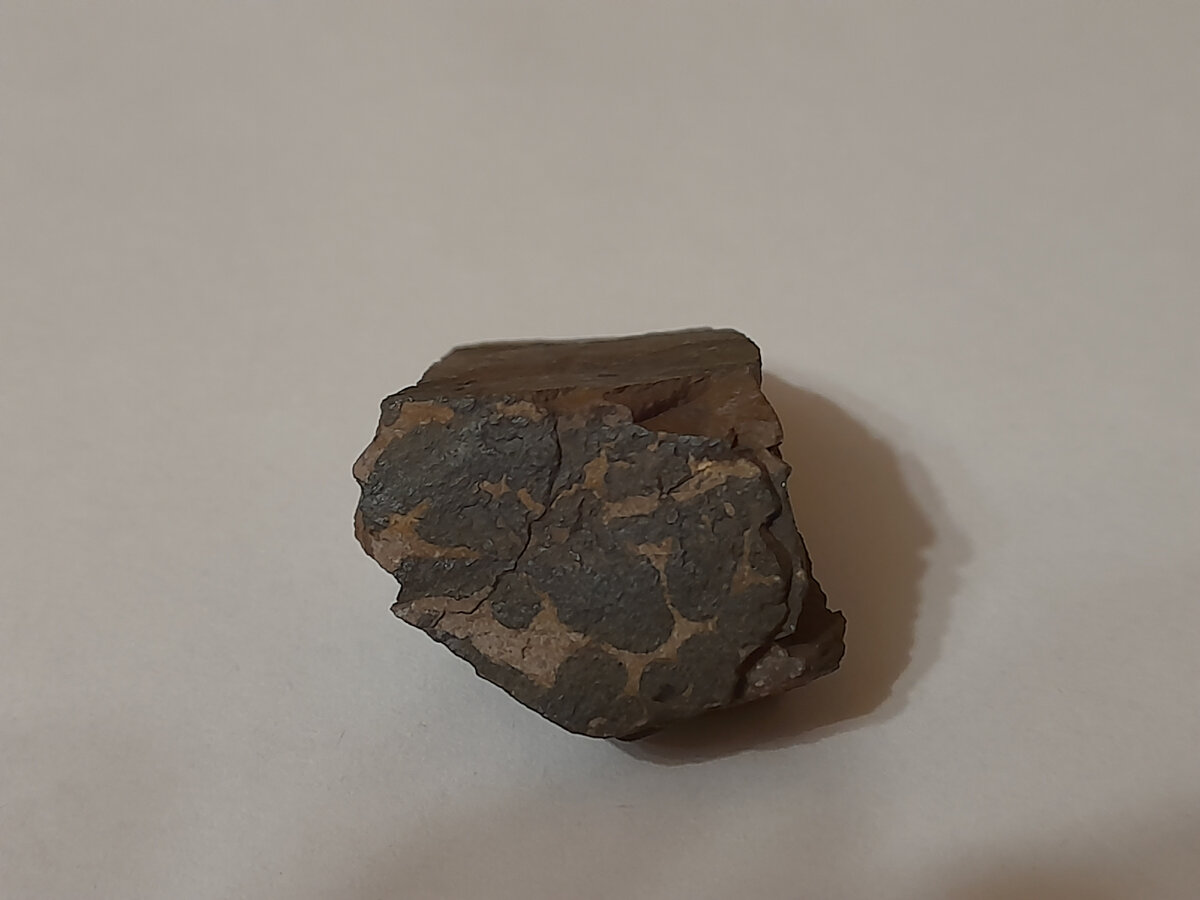 Скол метеорита (видна его слоистая структура, светлый камень и вкрапления железа).