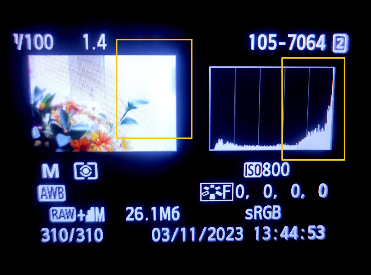    Гистограмма отображает пересвет с помощью графика. Если он прилип и сфокусирован в правой части, то на фото есть слишком яркие места / Фото: Елизавета Чечевица