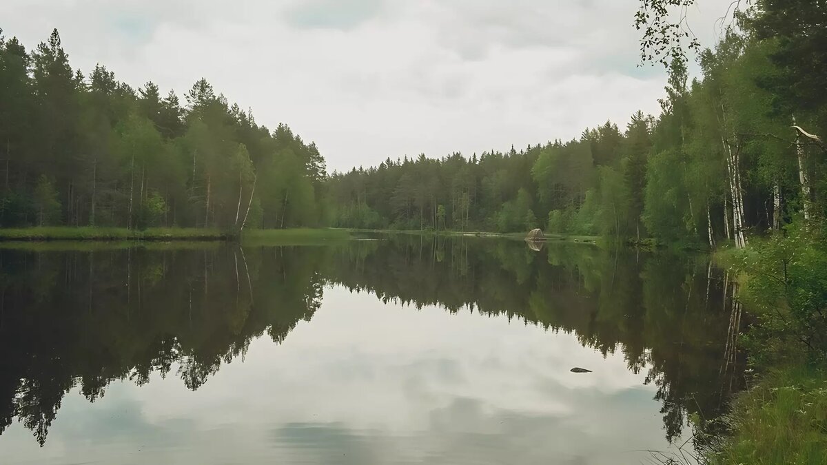    Данные работы нужно провести, чтобы весной вода не затопила поселения.