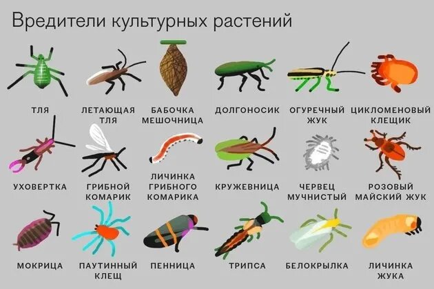 Идентификация проблем. Фото взято из открытых источников