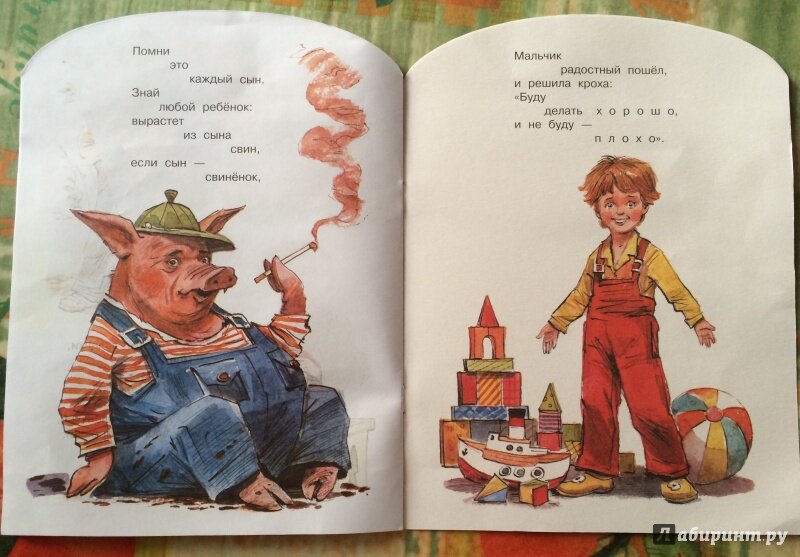 Фото из сетей интернета