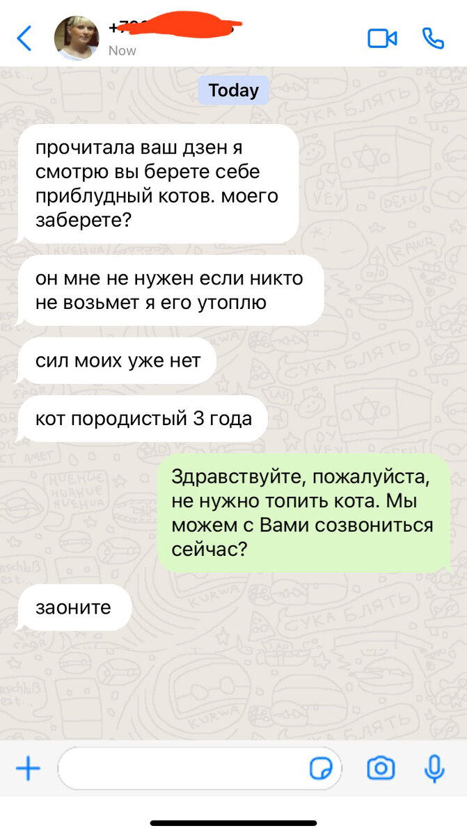 Переписка с читательницей в whatsapp
