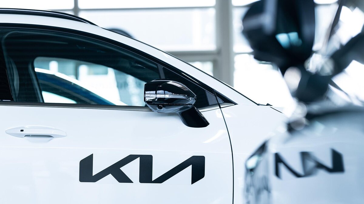 Фото: Silas Stein/globallookpress.com