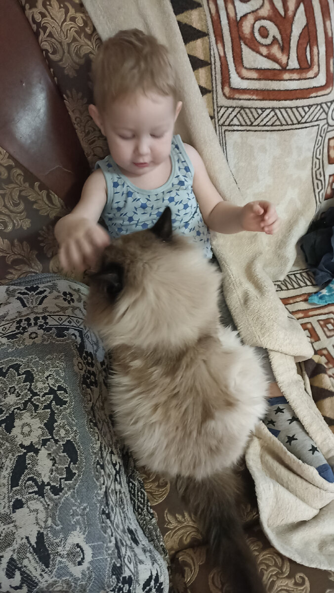 Разговор по душам. 