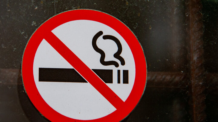 SVETLANA VOZMILOVA/GLOBALLOOKPRESS