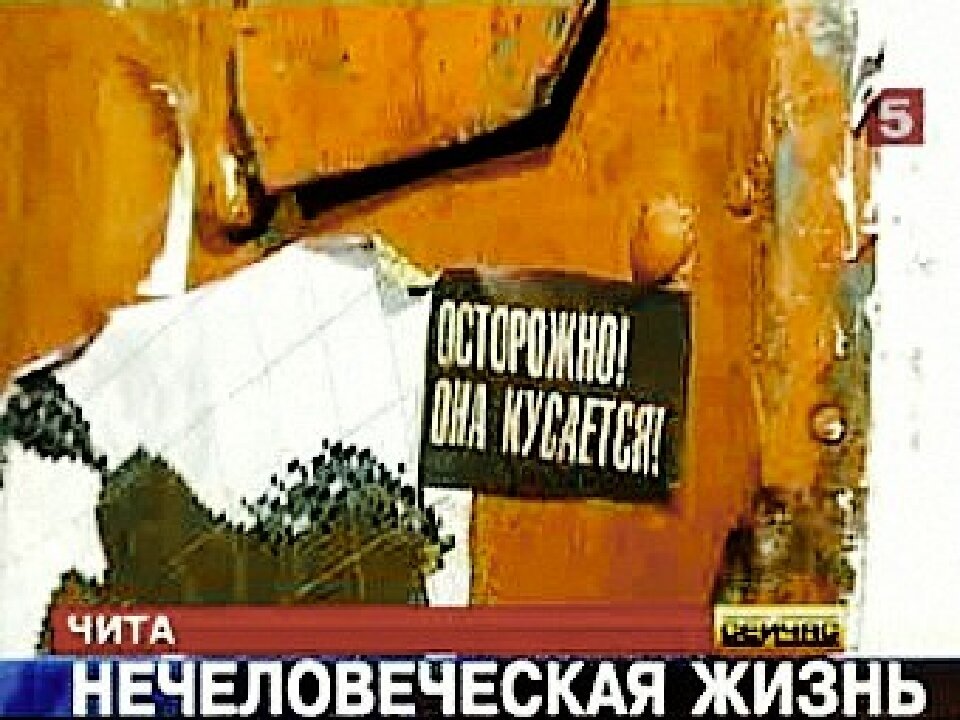 На двери квартиры была странная надпись: «Осторожно! Она кусается!»