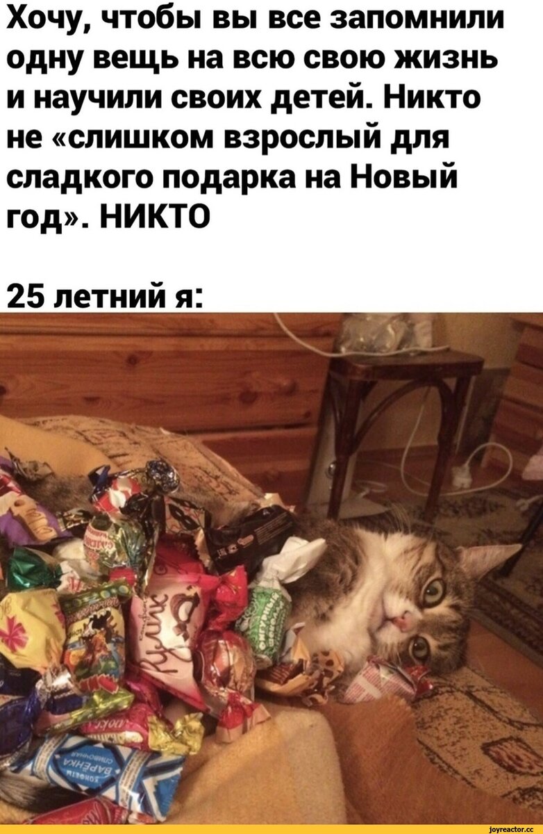 Замена масла в ДСГ и Халдексе - Volkswagen Passat Alltrack (B7), 2 л, 2013 года 