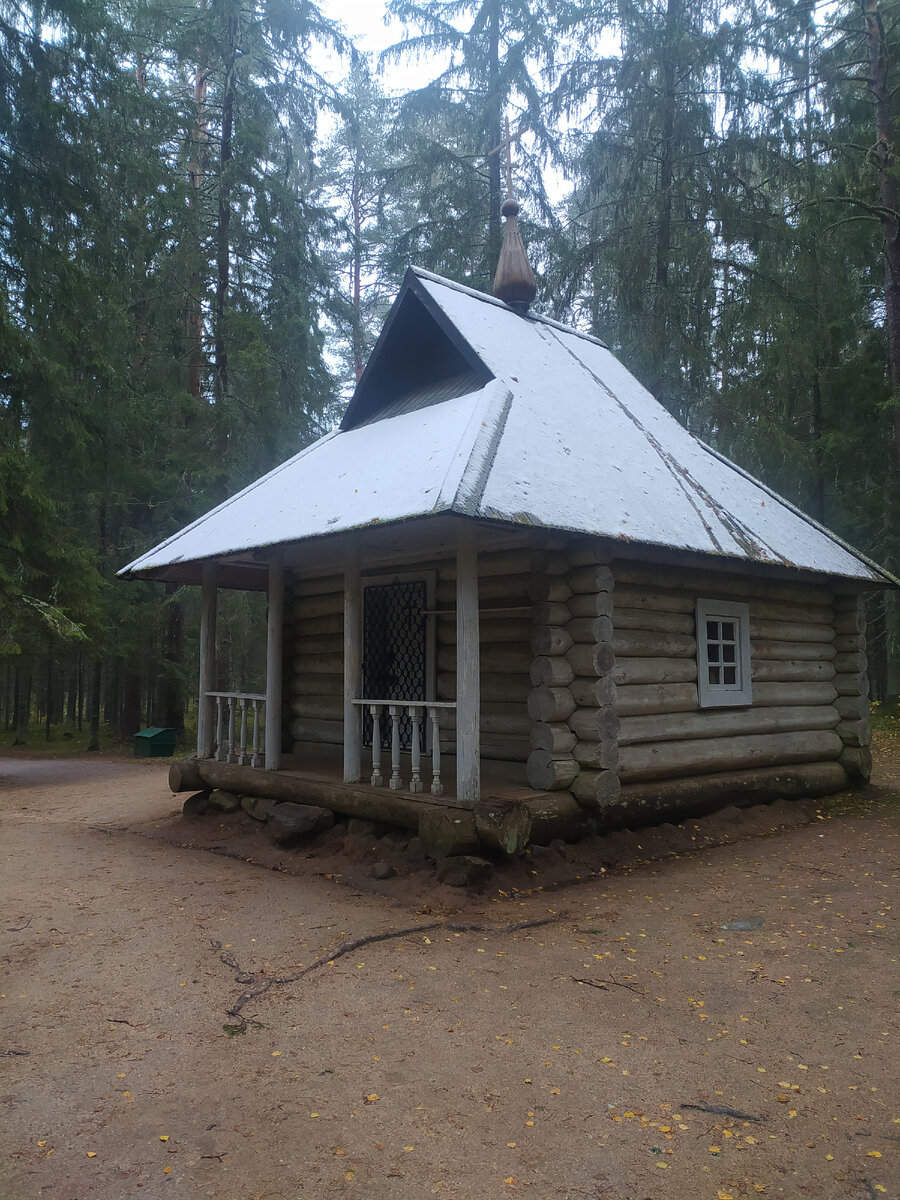 По тропинке от Пушкинской деревни до Михайловского через лес /фото автора (листайте далее)