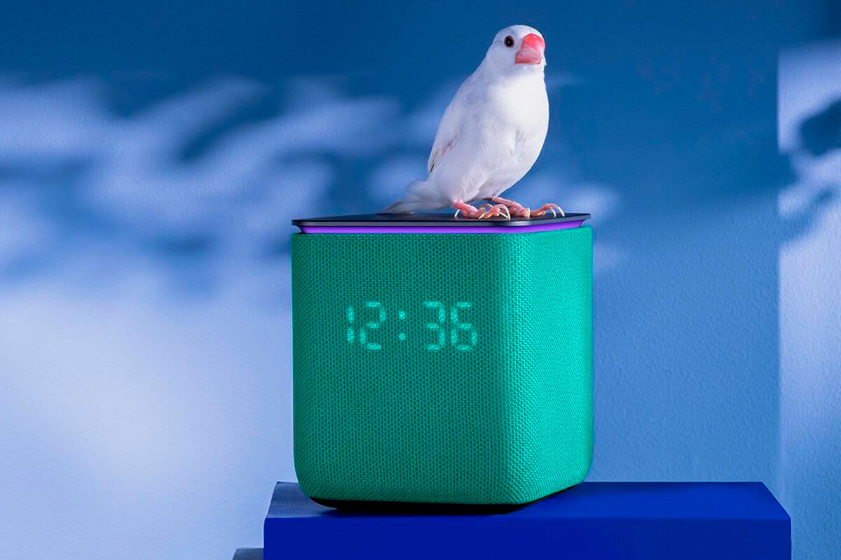    Фото: alice.yndx / Instagram