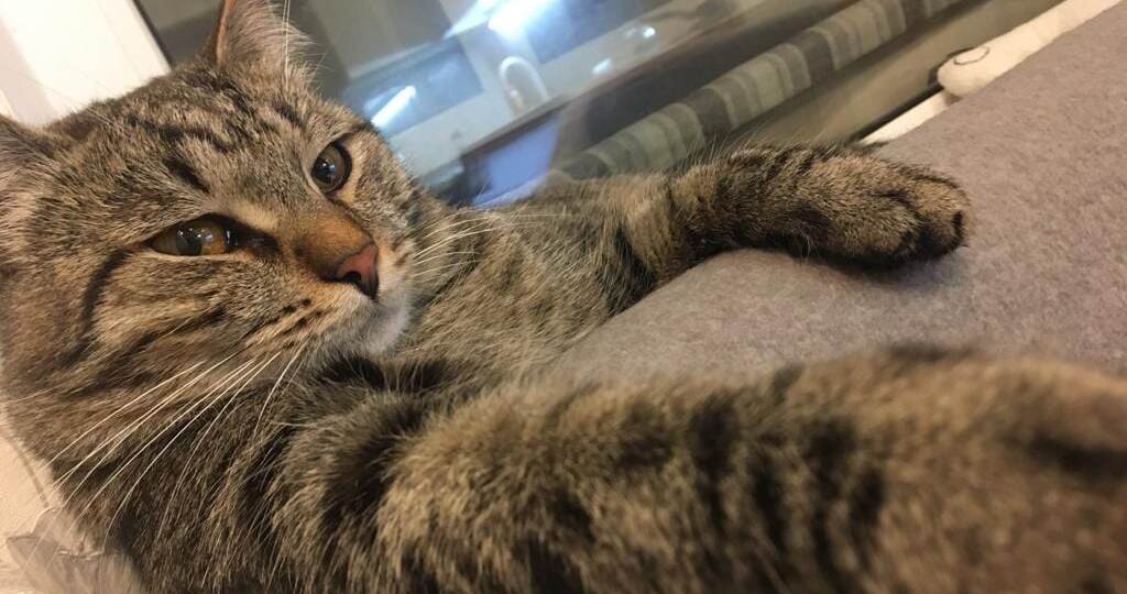 Здесь должен был быть привет из дома, но сегодня будет о другом