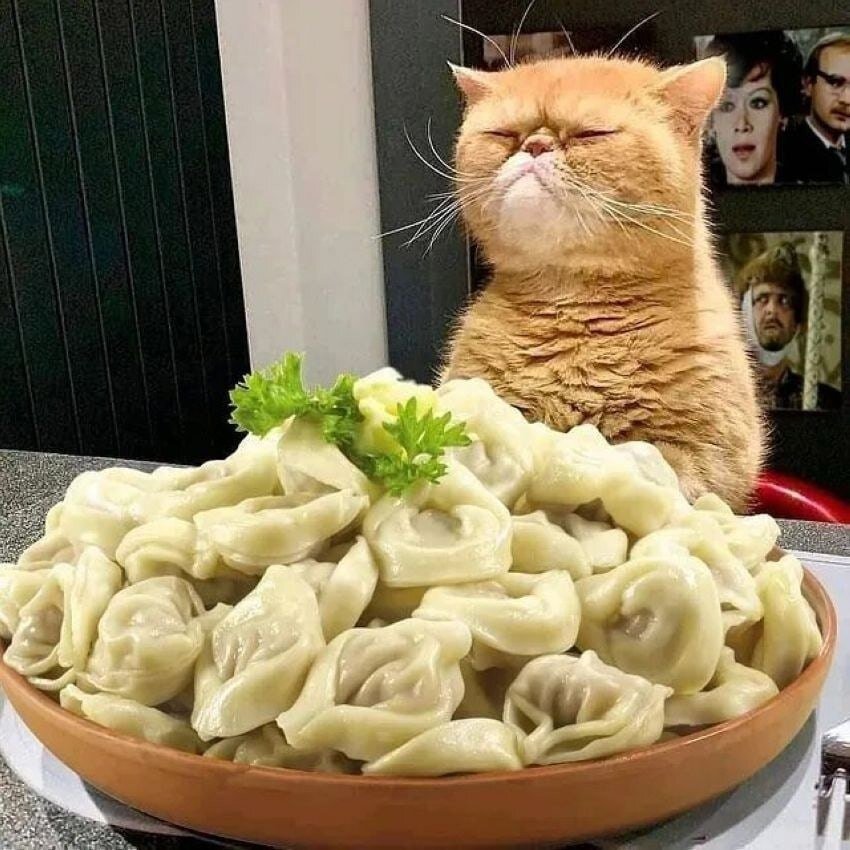 Смешной пельмень