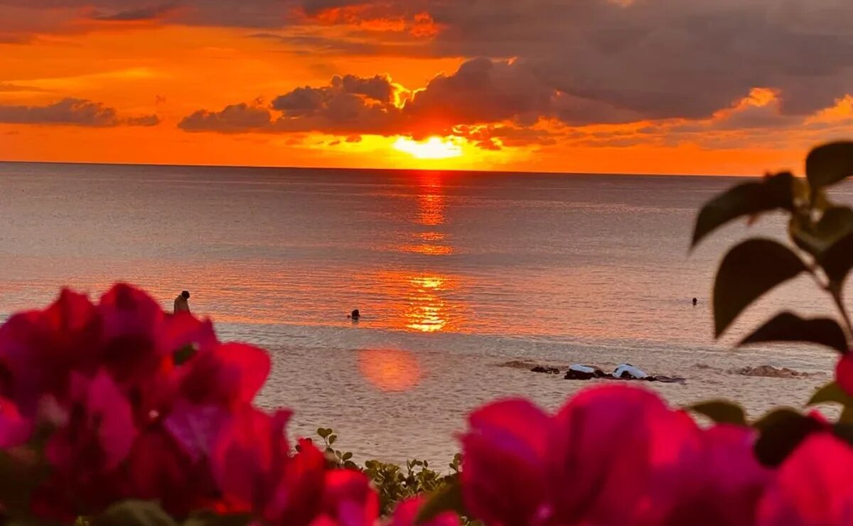    Таиланд, Шри-Ланка и Гоа: где дешевле отдохнуть на Новый год в Азии