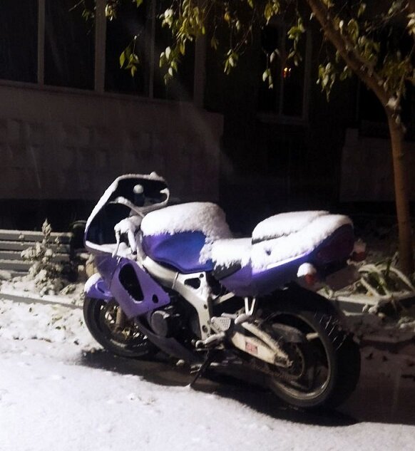 Снег выпал, когда не ждали:)