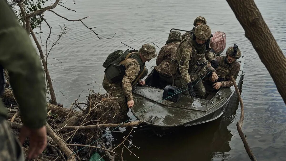 Военные ВСУ. Фото: Владимир Зеленский | Telegram