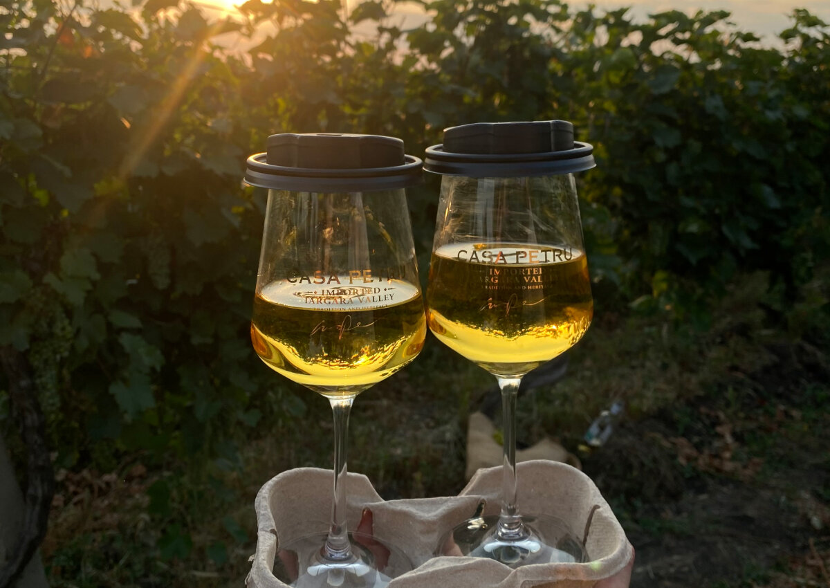 Несмотря на то, что это вино без алкоголя, оно богато теми же полезными микроэлементами, что и обычное вино. Исследования не одного десятка ученых показывают, что в вине присутствуют витамины и микроэлементы (С, Е, К, каротин, фолиевая (В9), никотиновая (РР) и прочие кислоты, калий, железо, магний, марганец, йод, титан, кобальт, фосфор, рубидий и др.) благотворно влияющие на здоровье.
