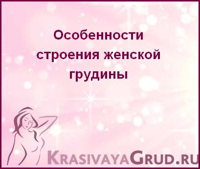 Особенности строения женской грудины | KrasivayaGrud | Дзен