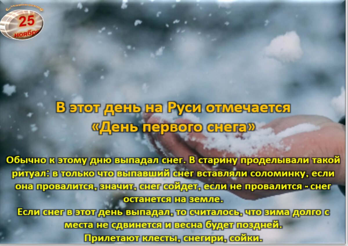 25 ноября - Традиции, приметы, обычаи и ритуалы дня. Все праздники дня во  всех календарях | Сергей Чарковский Все праздники | Дзен