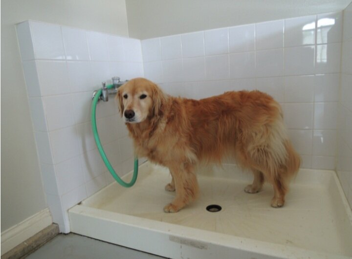 Яндекс.картинки