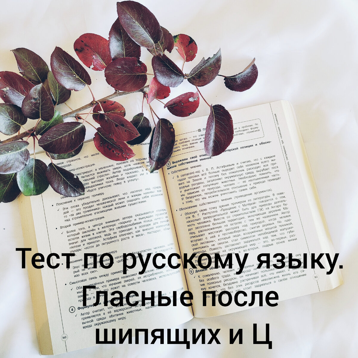 Тест по русскому языку. Гласные после шипящих и Ц | Gin_school_русский язык  | Дзен