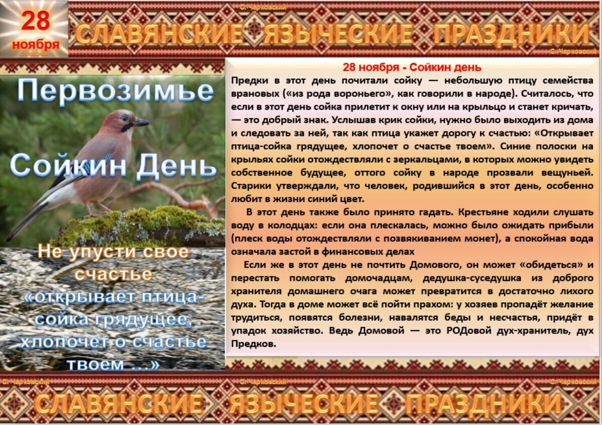 Сойкин день народный календарь. Народные приметы на 28 ноября. 28 Декабря народные приметы. Приметы на Сойкин день.