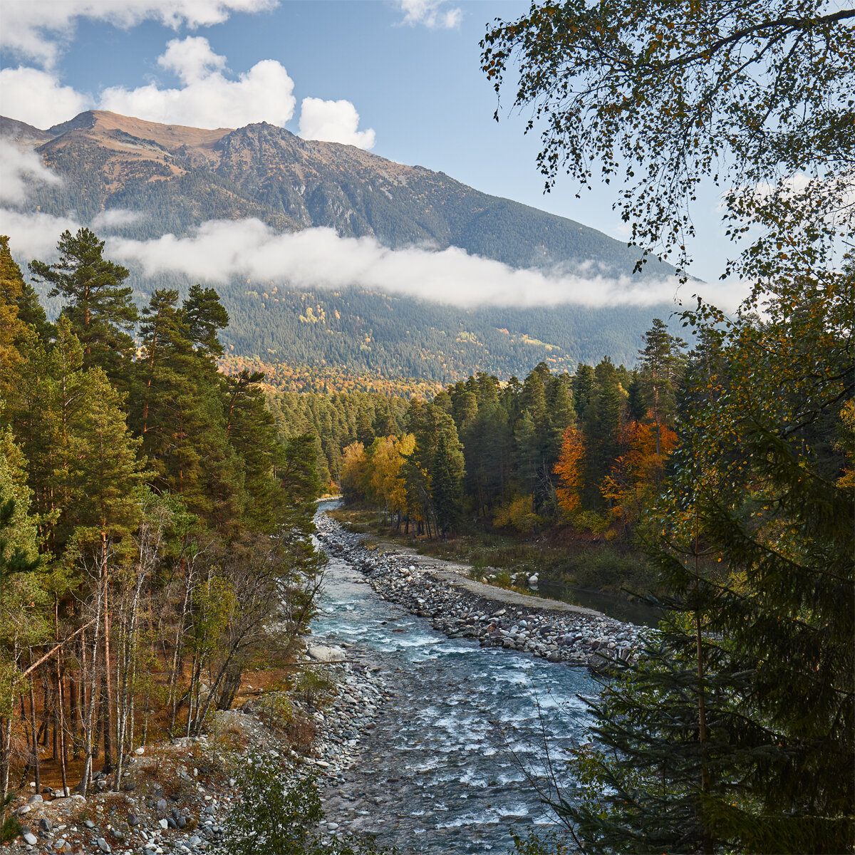 Вид со смотровой площадки у входа в заповедник