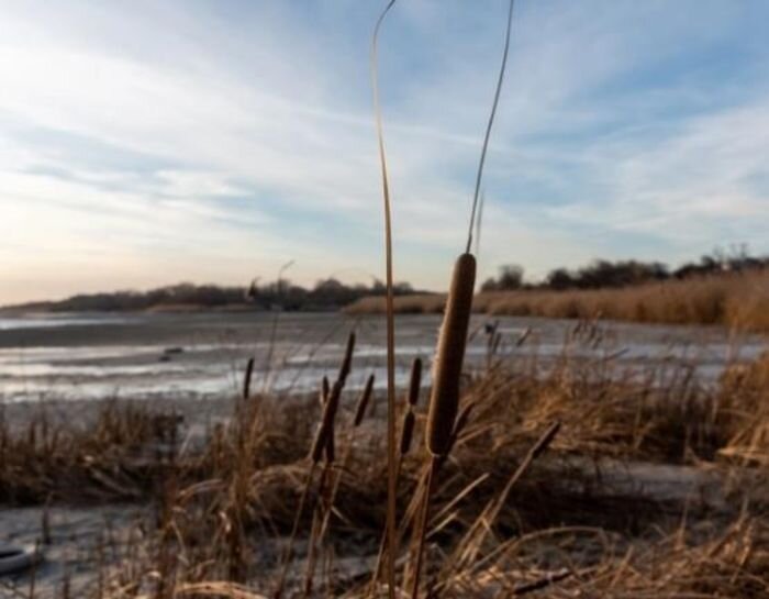 Источник фото: Евгений Вдовин / 161.ru