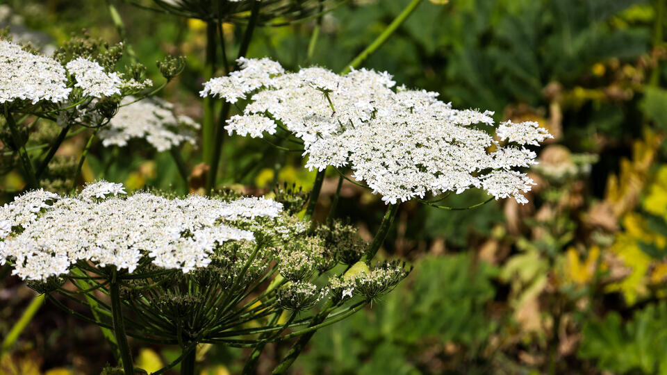 Фото: © Global Look Press/Elena Mayorova