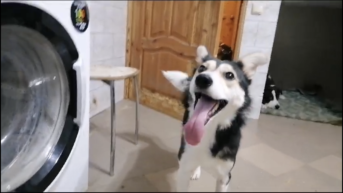 -2