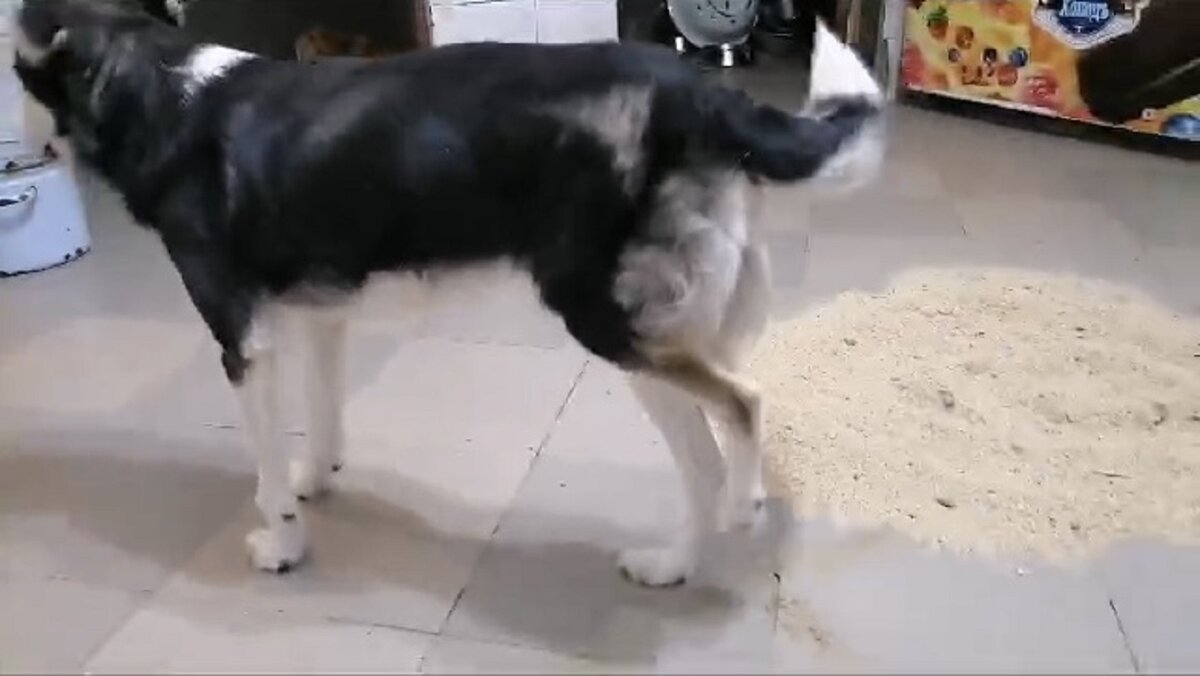 -2-2
