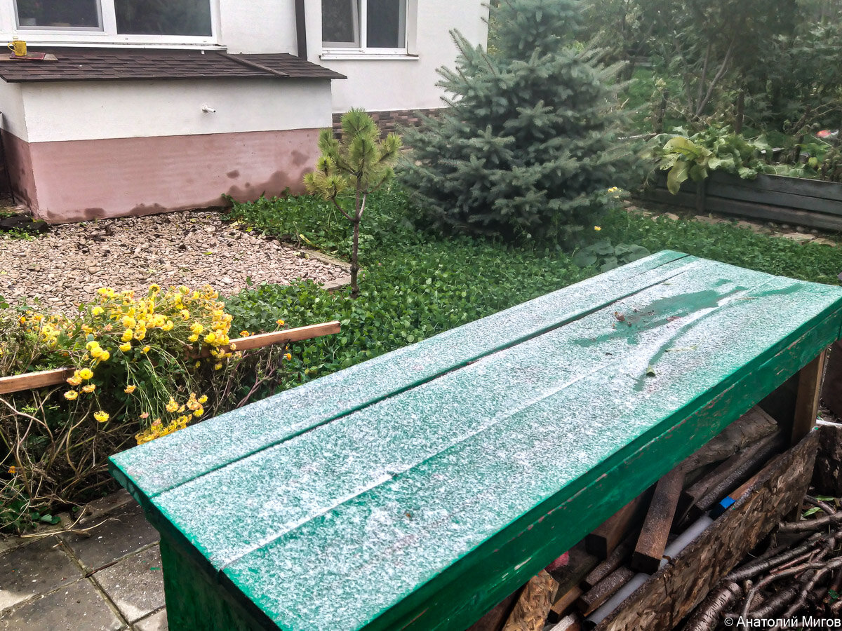Робкий первый снег в Старом Крыму.