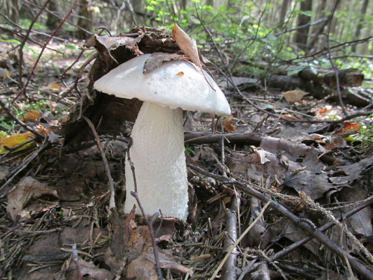 Автор фото Наталия Седова