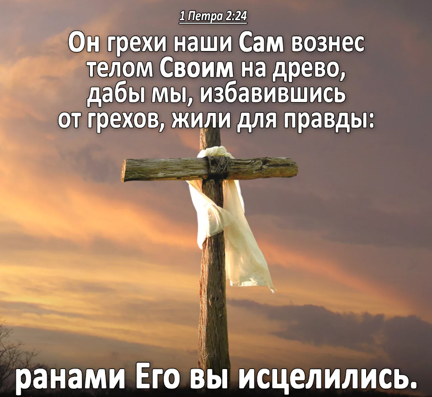 Безгрешно жить. Он грехи наши сам вознес телом. Он грехи наши сам вознес телом своим на Древо. Ранами его мы исцелились. Христос жертва за грех.