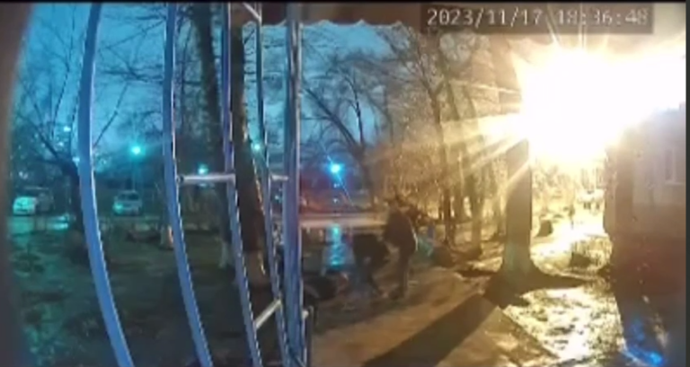    Дело по факту жестокой драки в Ясном передано в Следком Марина Шарт