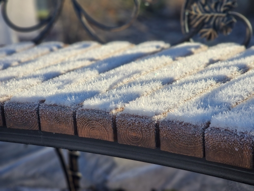 Фото "Фиолетового Сна"