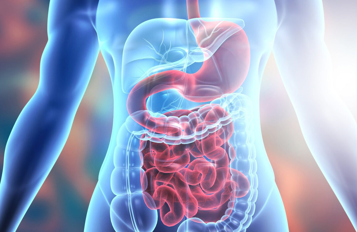 Болезни ЖКТ и астения