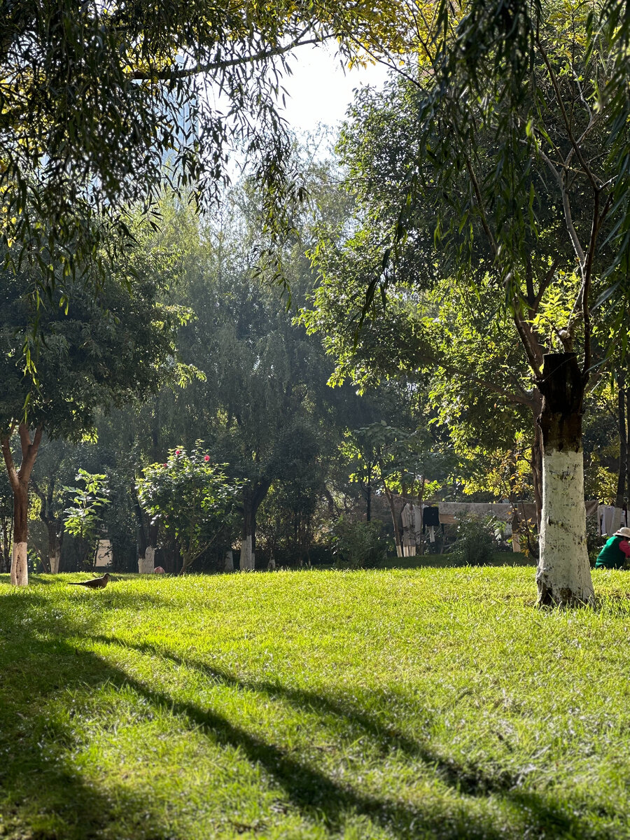 Прыжок из -5 в +15