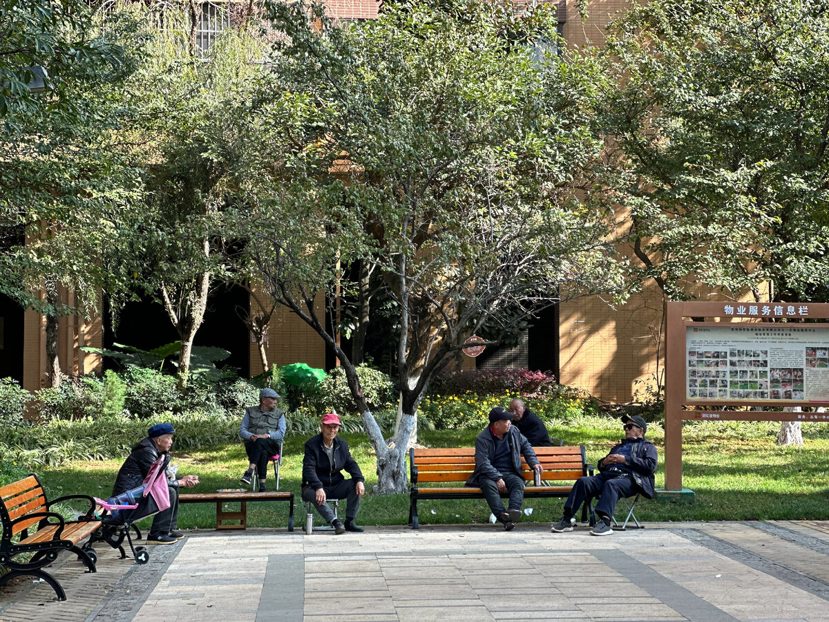 Дворовой дозор