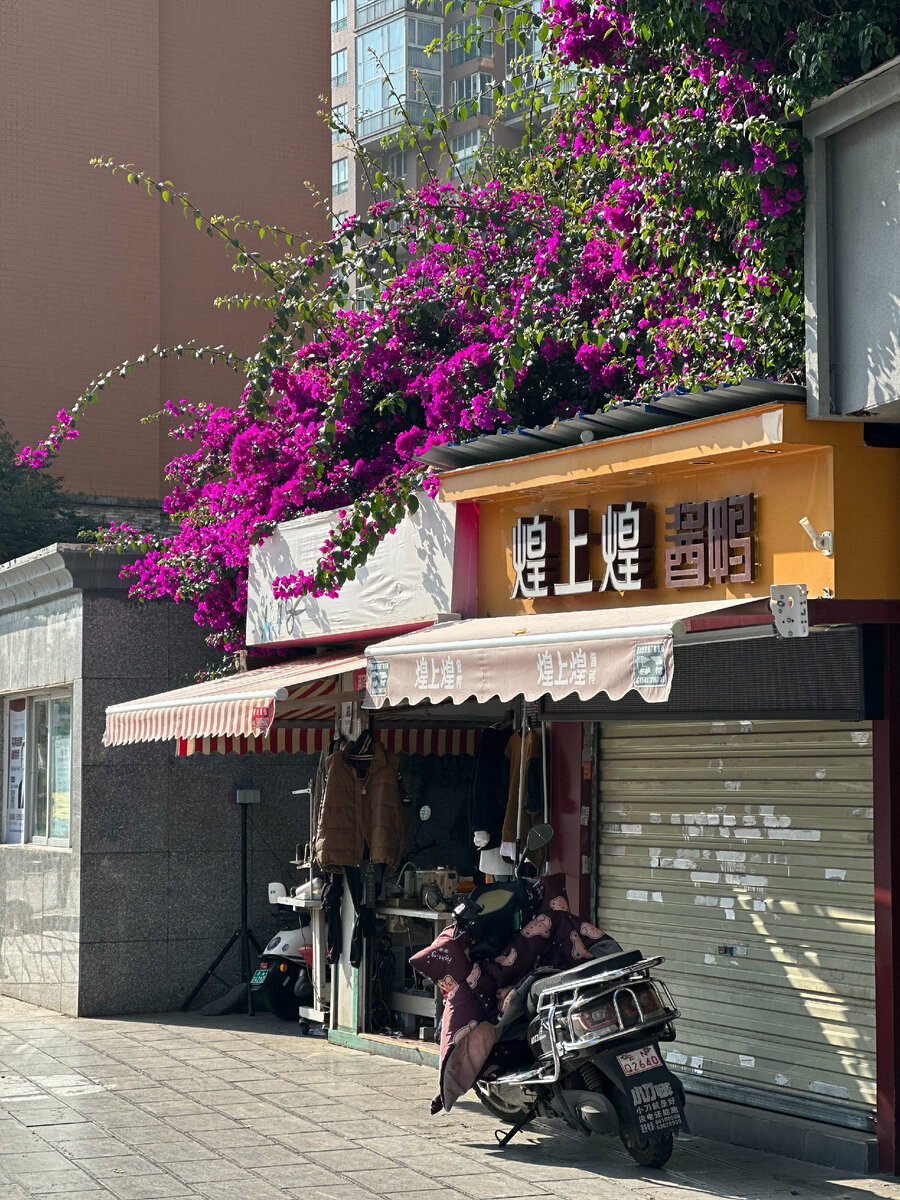 Все цветет и пахнет