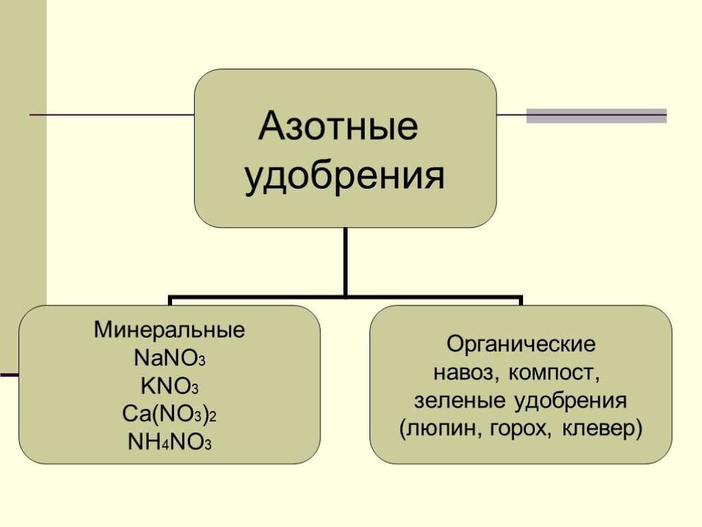 Что относится к азотным удобрениям. Азотные удобрения это какие. Классификация азотных удобрений. Азотные удобрения схема. Удобрения азотсодержащие органические.