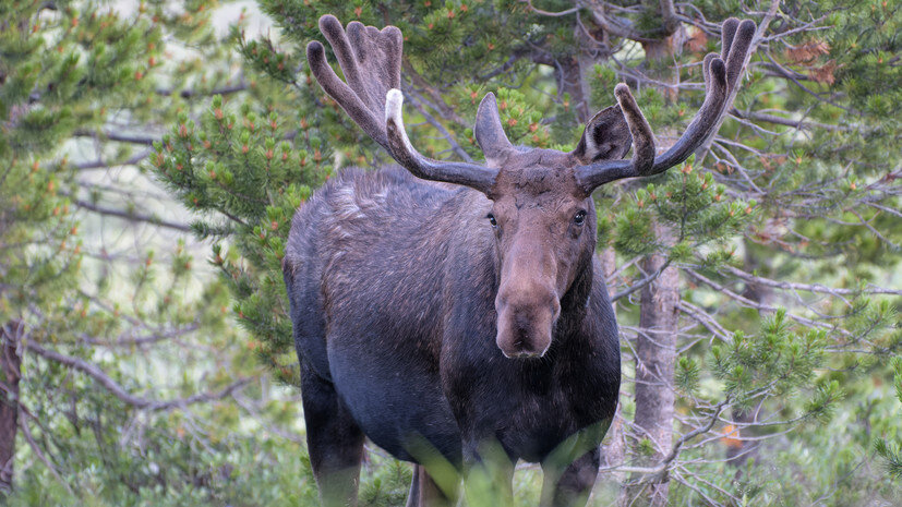   Gettyimages.ru Gary Gray