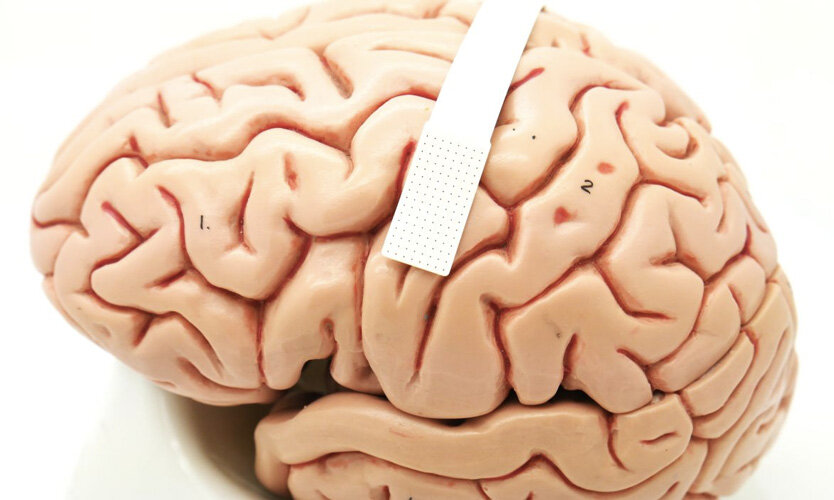 Фото: Dan Vahaba / Duke University