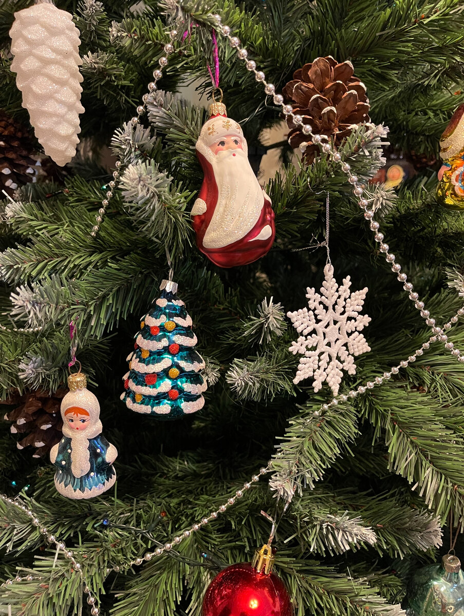 Наша красотка