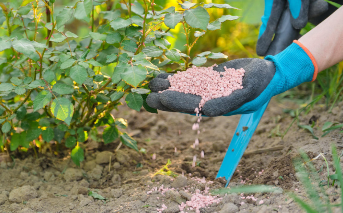 Калийные удобрения: что это такое и как их использовать