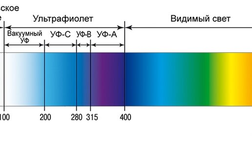 Межконкурентный узел