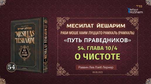 (08.06) Месилат Йешарим | Урок 54 | Глава 10/4 | О чистоте | Рабби Лев Лэйб Лернер