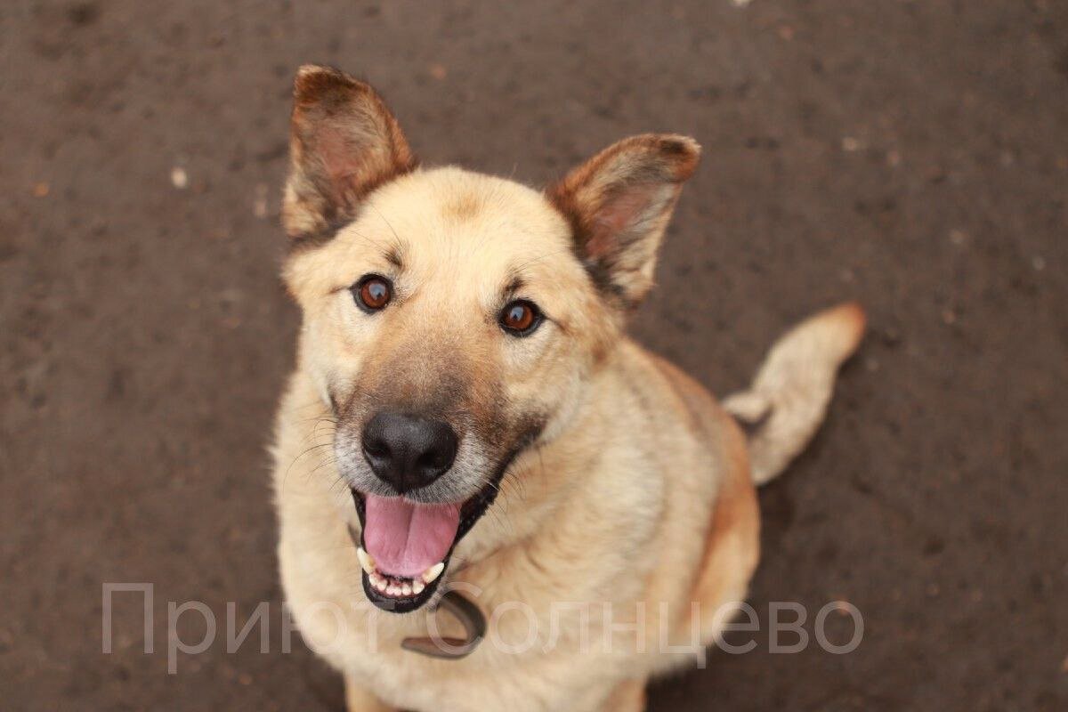 Иногда это хорошо, что они многого не знают о нашем мире