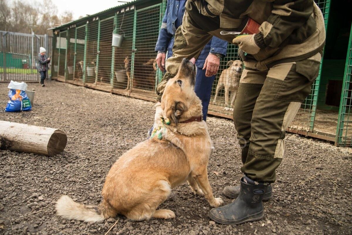 Многие ищут друга - не перелистывайте еще один шанс Римуру